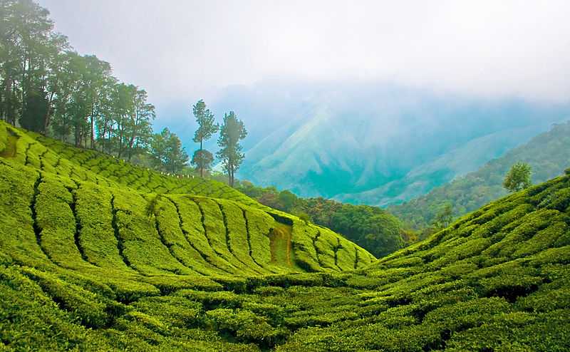 Wonders Of Kerala